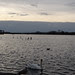 Poole im November 2013