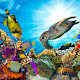 Great Barrier Reef Tiere - Tiere Neue Lebewesen Aus Der Korallensee Vor Australien Bilder Fotos Welt / The great barrier reef is the largest, most spectacular coral reef in the world.