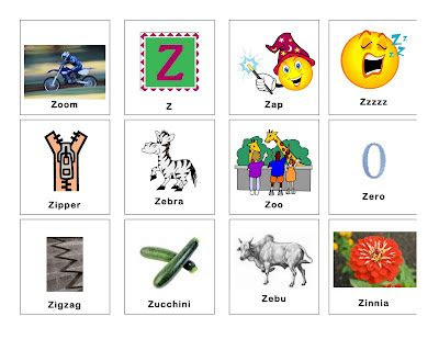  clear speech therapy z words