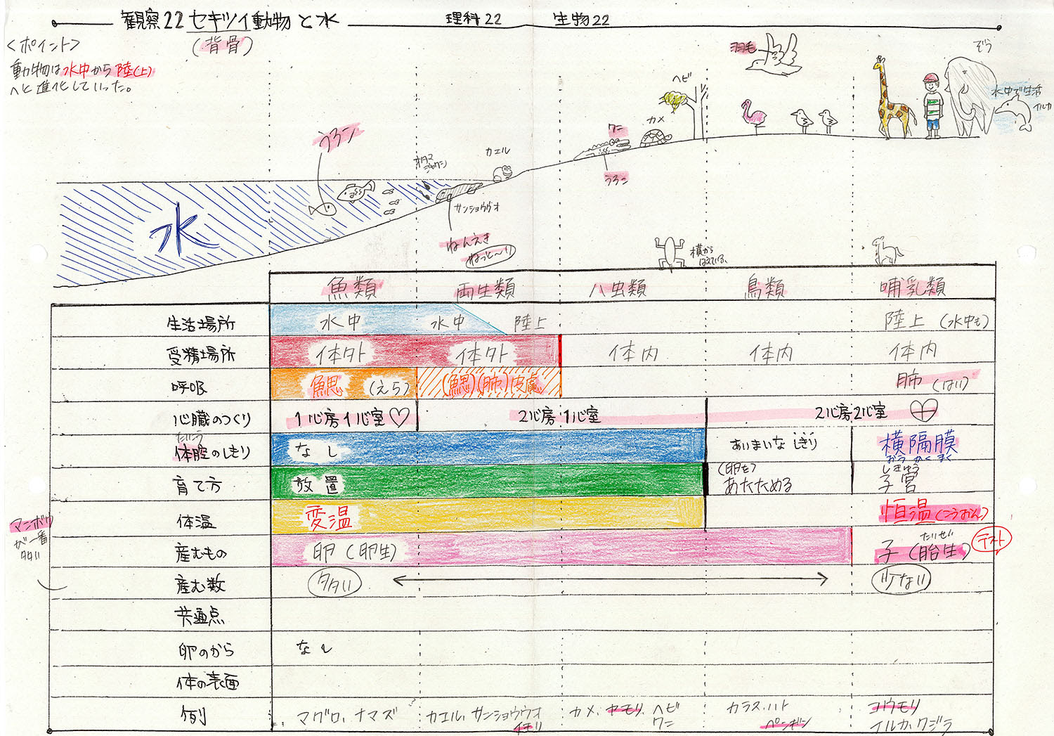 観察22セキツイ動物と水 ２年理科 Takaの授業記録17