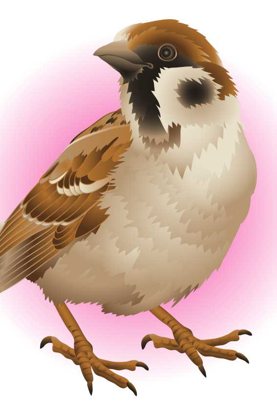 雀 すずめ リアルタッチスズメの年賀状用イラスト フリー素材集