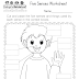 five senses worksheet for kindergarten free printable - five senses preschool worksheets pdf