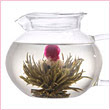 Primula Flowering Tea Set with 40-Ounce Pot with Glass Lid