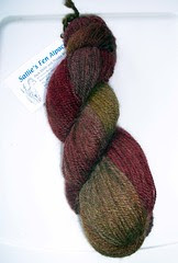 SalliesFen_HANDdyedalpaca