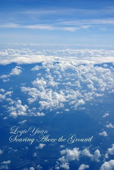 LogicYuan soaring in the skies