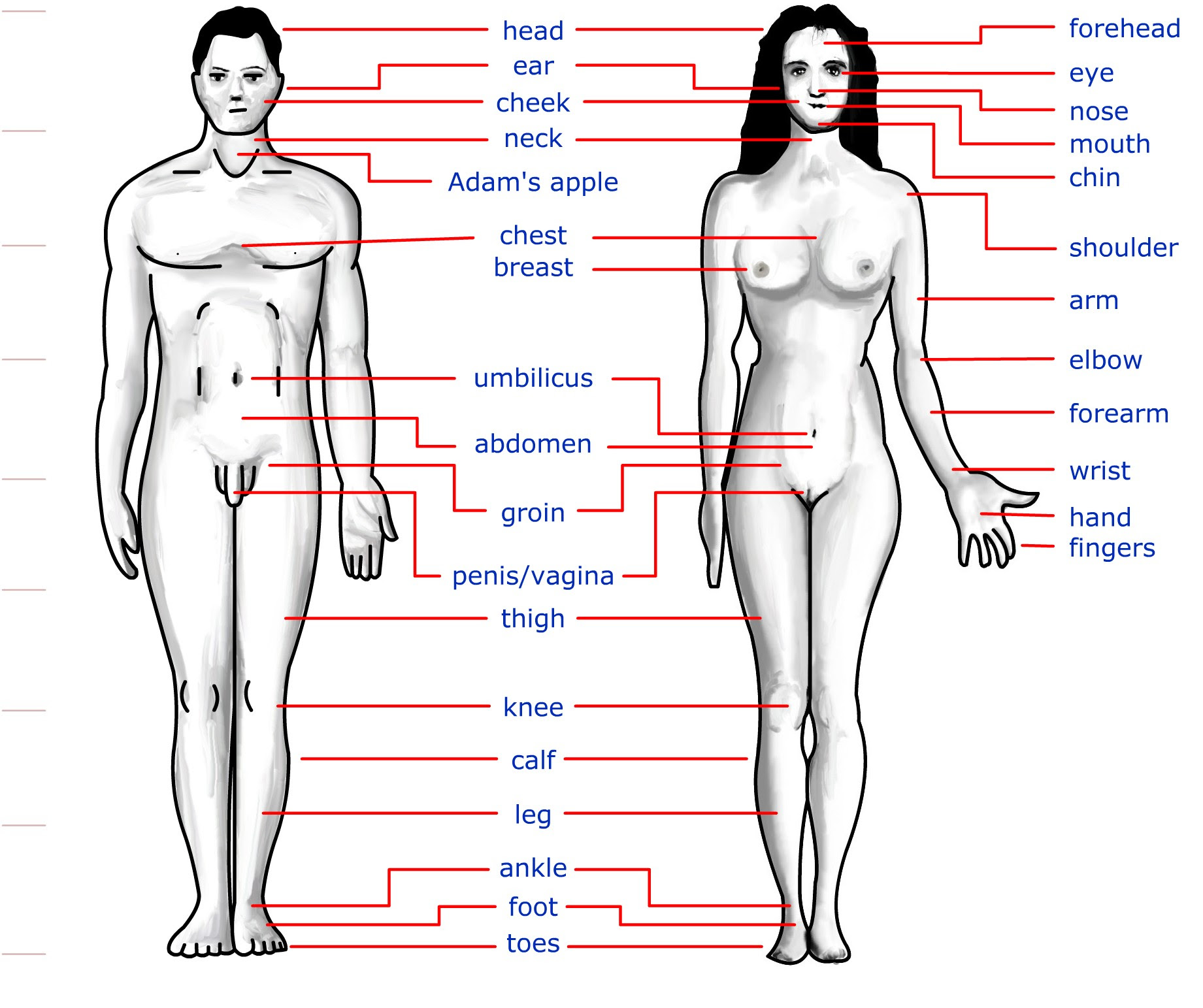 Original file ‎ (1,841 × 1,543 pixels, file size: 344 KB, MIME type ...