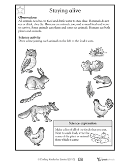 Our 3 favorite science worksheets for each grade | Parenting