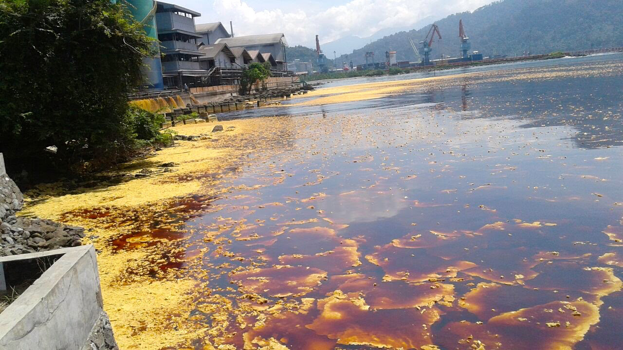 Ketika Puluhan Ton Minyak Sawit Tumpah di Perairan Teluk Ketika Puluhan Ton Minyak Sawit Tumpah di Perairan Teluk