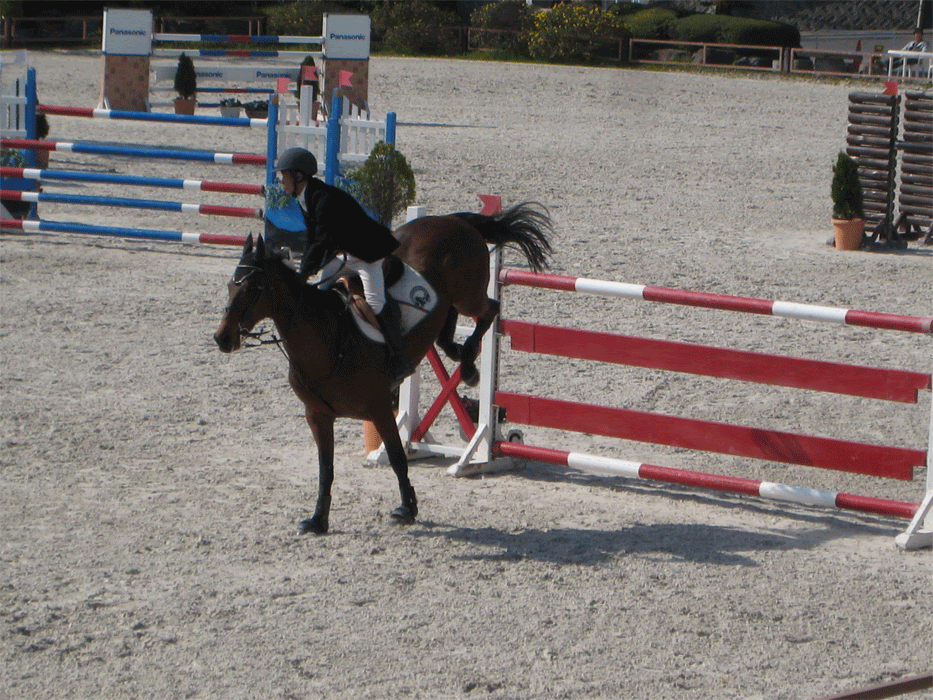 地上の楽園は馬の背に 飛越 着地姿勢特集