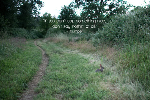 thumper