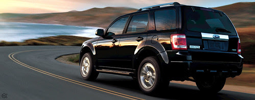 2010 Ford Escape Rear View