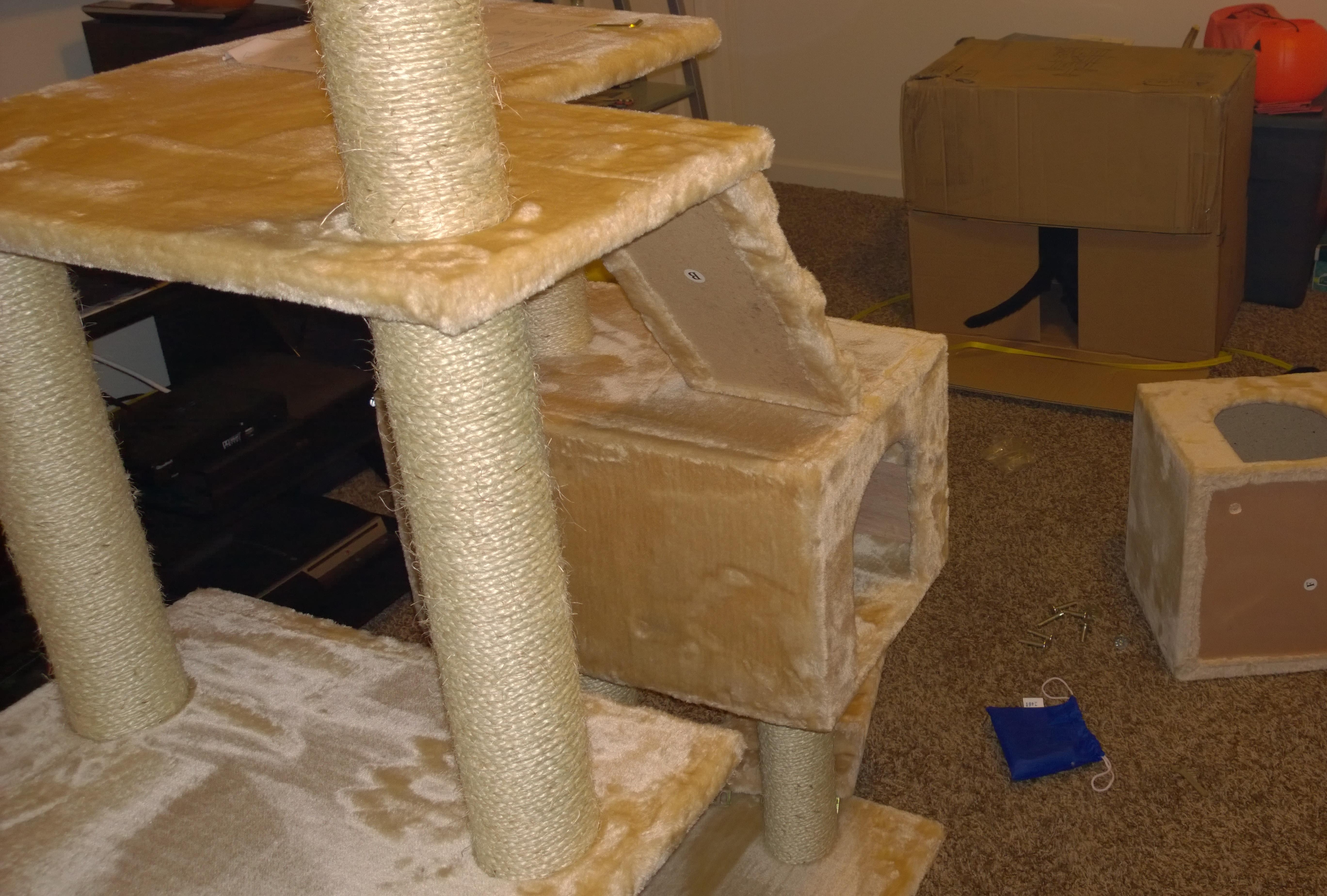 My Cats Favorite Part of Their New Tower : pics
