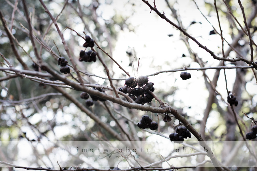 { dark romance }