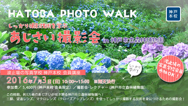 波止場の写真学校 兵庫 神戸 横浜 広島 尾道 写真学校 教室 Meriken Gallery Cafe メリケンギャラリー 運営 会員講座 Hatoba Photo Walk しっかり撮影技術を学ぶ あじさい撮影会 In 神戸市立森林植物園 神戸 本校
