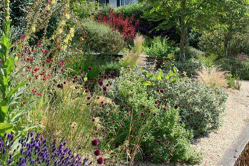 front plantings