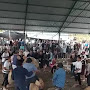 Copot Kapolda Bali
Tajen(Sabung Ayam) Desa Songan Memakan Korban Masyarakat Sajam Bebas Pulsa