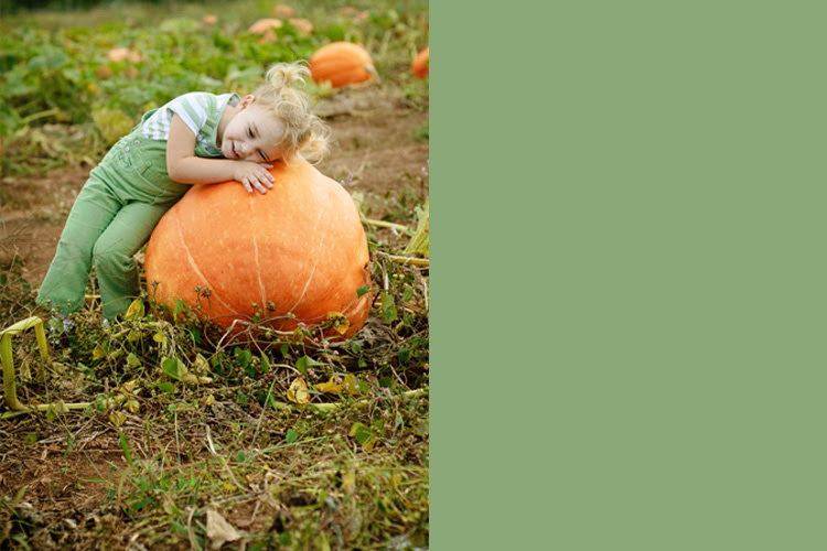 pumpkin1l