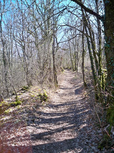 Le Chemin