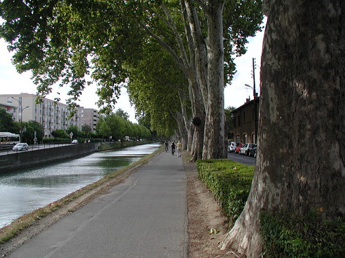Canal Path