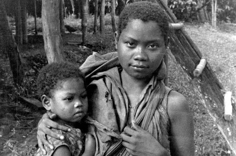 taman negara orang asli
