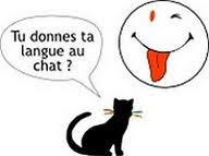 Expressions Et Proverbes Avec Le Mot Chat Amour De La Langue Francaise
