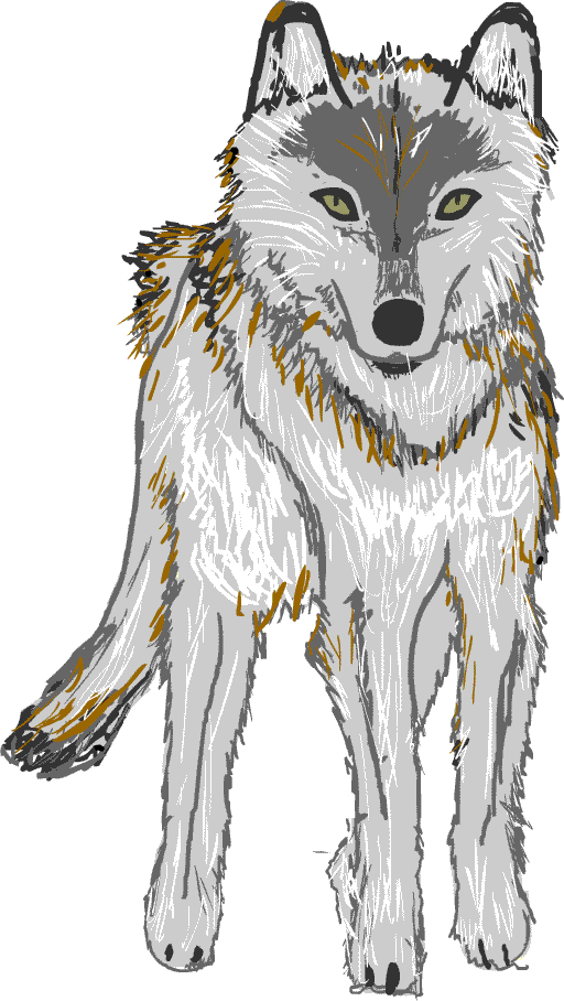 別注 狼イメージ画 絵画 タペストリ Metropolitansecurity Com Lb