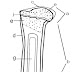 Long Bone Labeled - Long Bone Diagram Labeled Quizlet / Anatomy Lecture 5 ... - Long bones, especially the femur and tibia, are subjected to most of the load during daily activities and they are crucial for skeletal mobility.