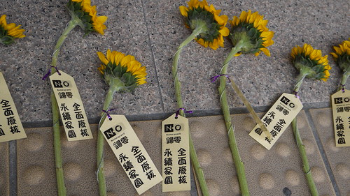 全面廢核，缺你不可。