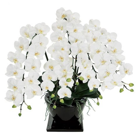 胡蝶蘭 造花 5本立 光触媒加工 取扱商品 株式会社ノムラ
