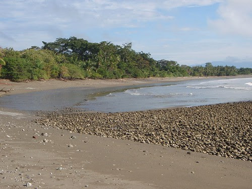 PA070066