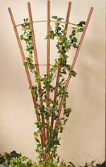 Simple Garden Trellis Plans