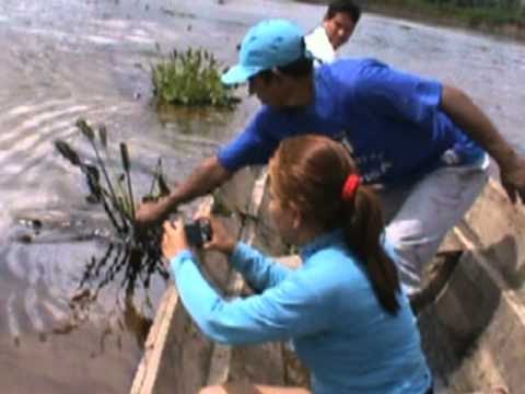 Investigación sobre el desastre petrolífero en el Río Marañón, en la Amazonía Peruana