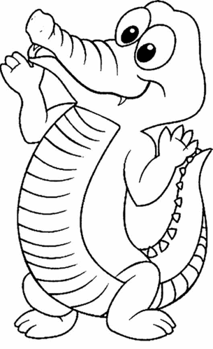 teeth diagram for children. Crocodiles teeth diagram middot forums Natural Mouth in wine middot il state