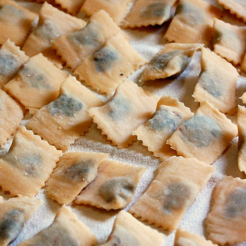 ravioli