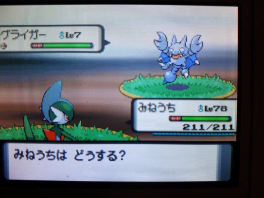 ポケトレ実践 ダイヤモンド 社会のグライガー 塩 わい的ポケ色廃人