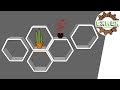 Sechseck Regal Selber Machen - Regal Selber Bauen Hexagon Builf The Shelf Itself Youtube : Dauertiefpreise, grosse auswahl, 30 tage rückgaberecht auch im markt.