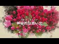 画像 8 月 7 日 誕生 花 452721