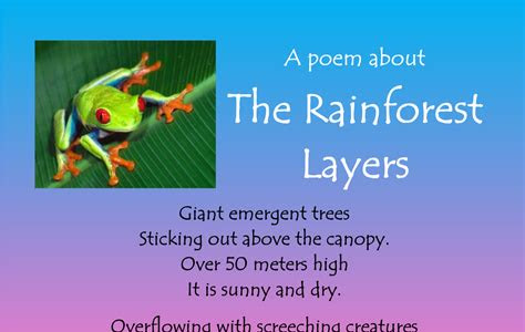 Read poem about the amazon rainforest for kids Best Sellers PDF