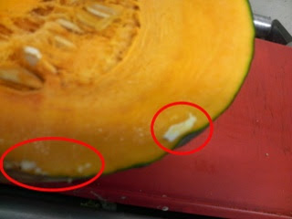 国産のカボチャもそろそろ終わりです 八百屋のオッサンのひとりごと