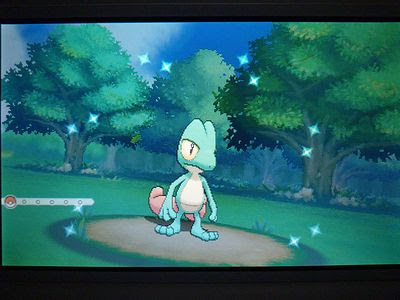 色キモリ Or 色ポケめも
