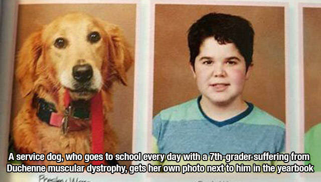Take A Moment To Appreciate How Loving Dogs Really Are