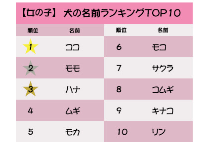 最新版 犬の名前ランキング 和風の名前が人気 名づけのポイントも