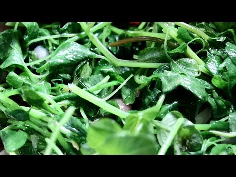 Mulai Keerai kadaiyal| Thandu keerai kadaiyal | Thandu keerai masiyal | கீரை மசியல்