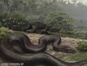 http://i41.photobucket.com/albums/e292/maruquitas/0855525p.jpg