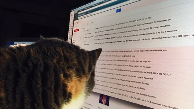 Avoid Email Overload by Simply Ignoring Some (Unimportant) Email