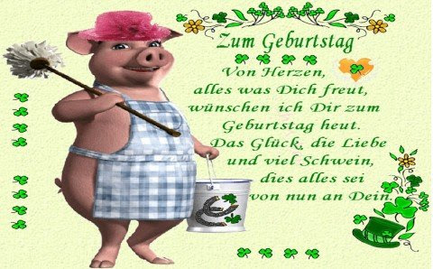 glückwünsche zum geburtstag lustige geburtstagssprüche