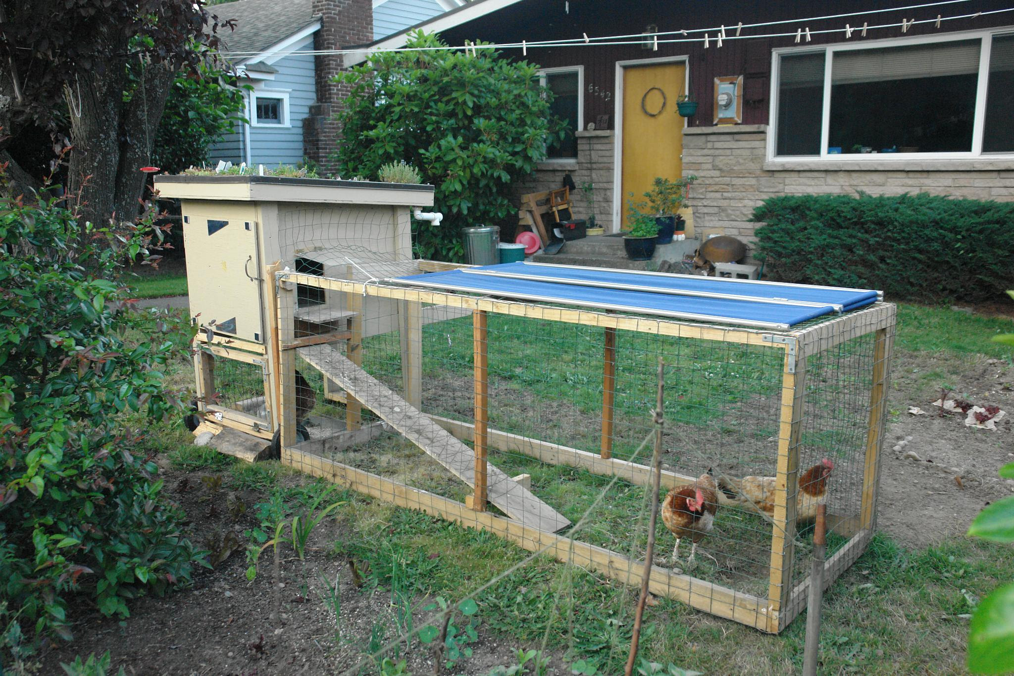 Description Backyard chicken coop with green roof.jpg