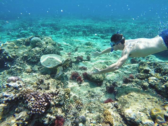 Gili Alex and Michael