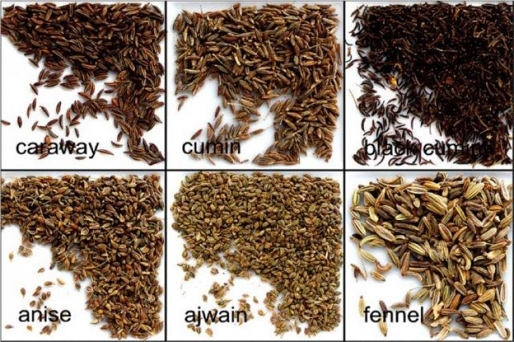 Cuminum Cyminum A Popular Spice An Updated Review Pharmacognosy Journal