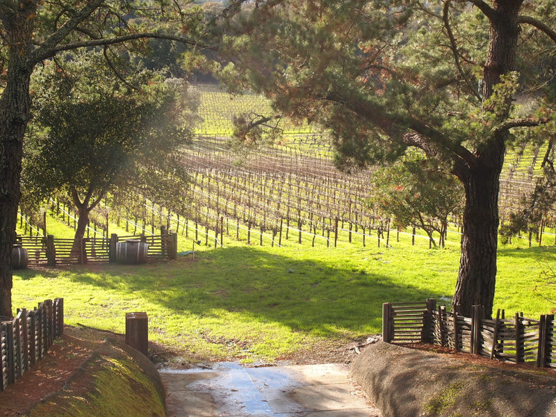 wine country2